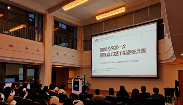项目咨询中的使用与维护建议，如何避免常见误区